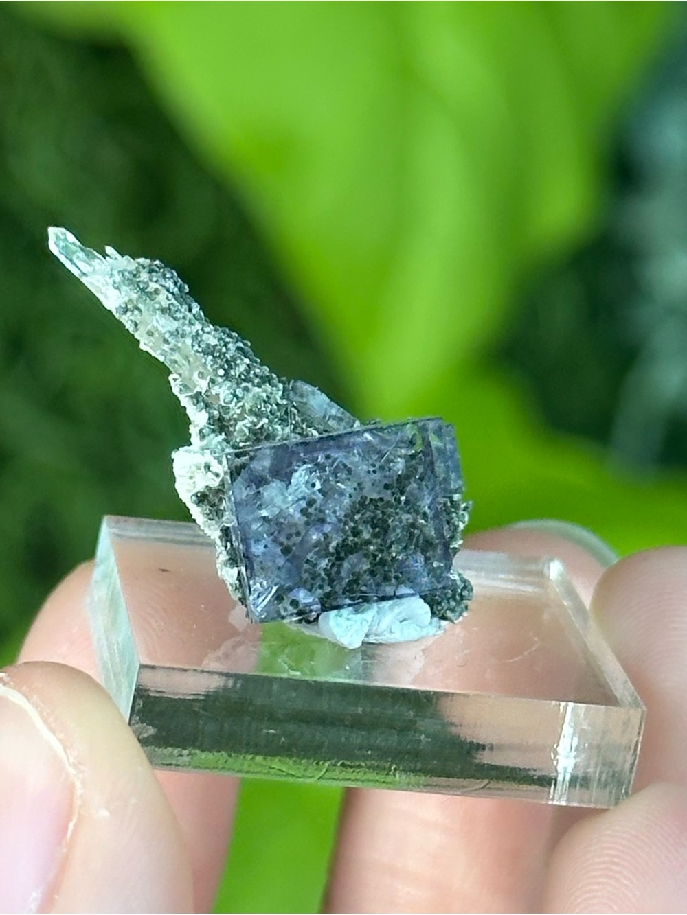 Fluorite with Quartz from YGX Mine Crystal Mineral Specimen